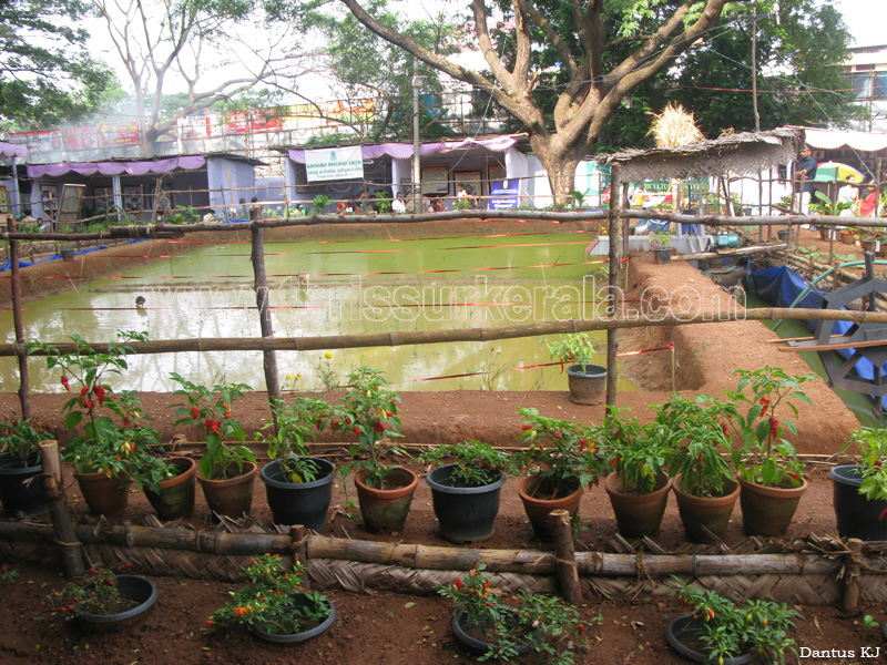 thrissur-pooram-exhibition-2011 (112)